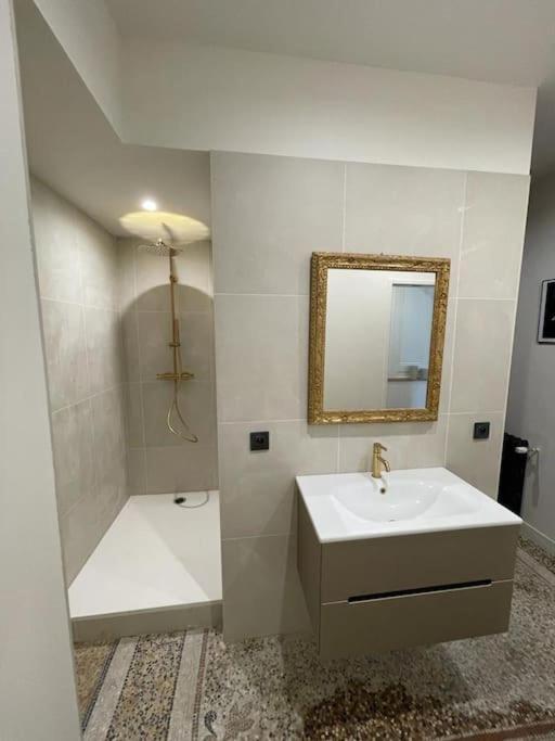 Appartement Chic Et De Caractere ! Saint-Cyr-au-Mont-d'Or Eksteriør billede